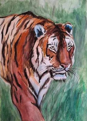 Tiger Whiskers Line art Черно-белый рисунок, тигр, белый, млекопитающее,  лицо png | PNGWing