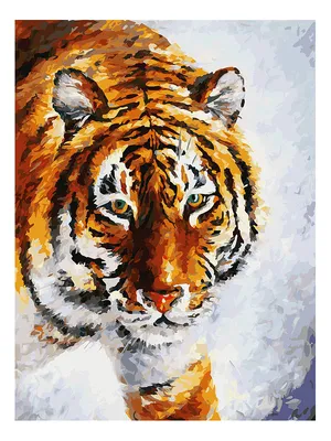 Снежный загадочник: тигр на снегу