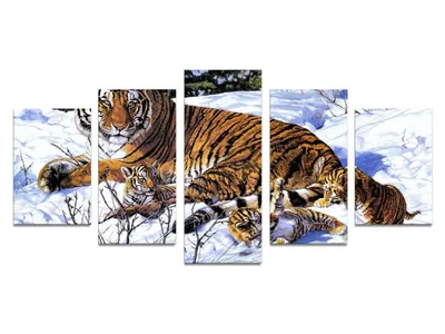 Магический мир зимнего леса: тигр на снегу