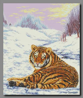 Прекрасный плотник белого заката: тигр на снегу