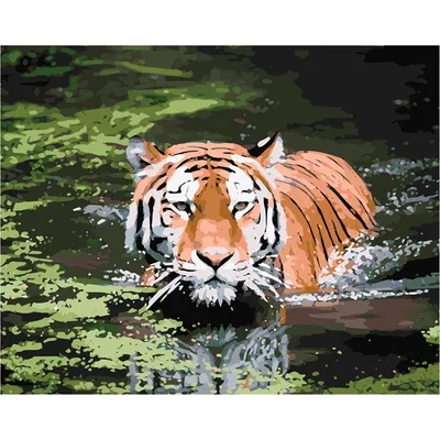 Тигр прыгает в воду обои для рабочего стола, картинки и фото - RabStol.net