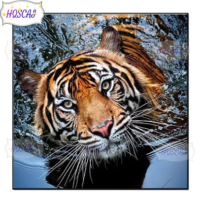 ᐉ Купить Картина маслом на холсте ручной работы, 50х60 см, Тигр под водой в  интернет-магазине | Stroyploshadka.Ua