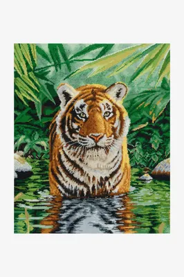 Белый Тигр В Воде — стоковые фотографии и другие картинки Под водой - Под  водой, Тигр, Jungle Cat - iStock