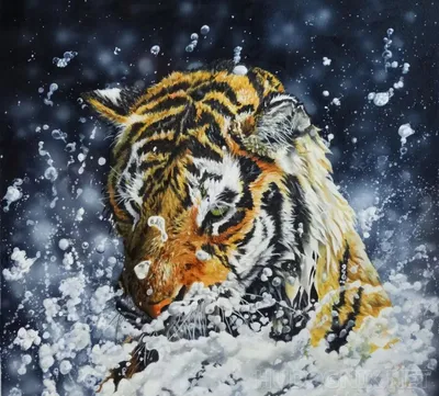 Тигр на воде · Бесплатные стоковые фото