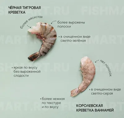 Тигровая креветка (1 шт) ᐈ Заказать в Киеве | Евразия