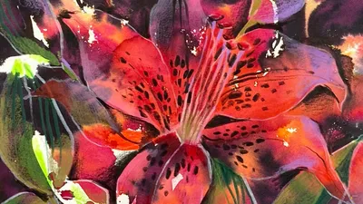 Лилии Картина маслом на холсте Розовые цветы Гиперреализм Тигровая лилия  50х50 от Марины Изотовой • современные художники