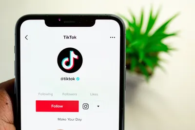 Tik tok logo with shadow on a white background Vector Image