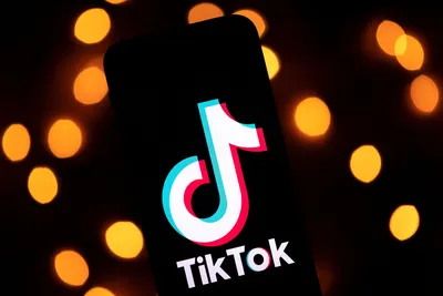 TikTok Embed – Documentation – WordPress.org