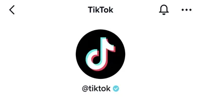 What Is TikTok?