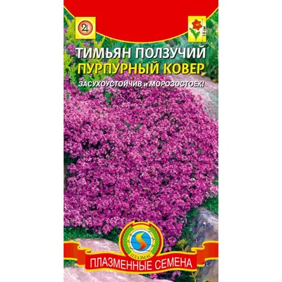 Семена Тимьян ползучий Пурпурный ковер, 0,05 г Плазмас - купить в Москве,  цены на Мегамаркет