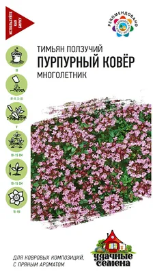 Чабрец тимьян ползучий 20 ф/п купить в Москве в одном из наших магазинов  или с бесплатной доставкой по Москве в интернет-магазине по низкой цене.  Рецепты, применение, отзывы.