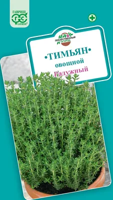 Тимьян ползучий - Тимьян - Травянистые растения для открытого грунта -  GreenInfo.ru