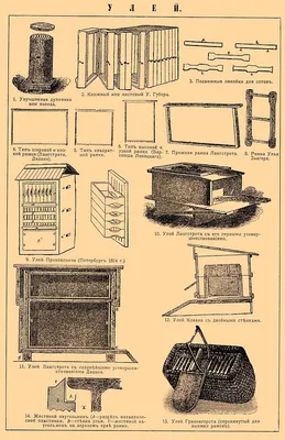 Какой улей выбрать начинающему пчеловоду ➤ Интернет-магазин Vashapasika