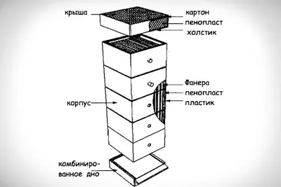 Виды ульев | ПанПасека | Мёд • Пасека • Пчёлы | Дзен