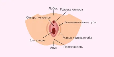 Сексуальность [Роберт Крукс] (fb2) читать онлайн | КулЛиб электронная  библиотека