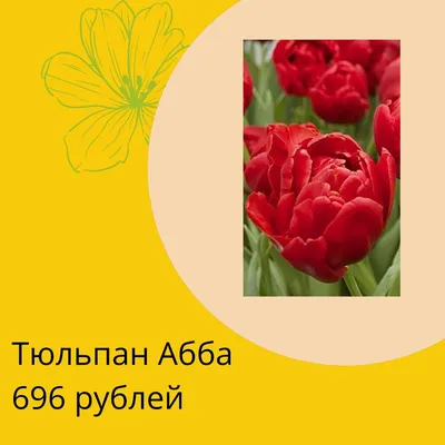 15 красных пионовидных тюльпанов Абба | купить недорого | доставка по  Москве и области | Roza4u.ru