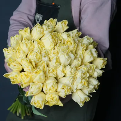 51 Тюльпан \"Авангард\" (Лимонный пион) и скидки в интернет магазине цветов  Роз Новоросс
