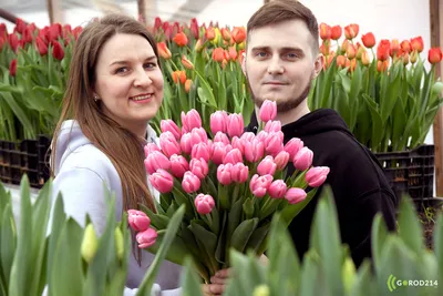 Сад, тюльпаны, очень большой тюльпан…» — создано в Шедевруме