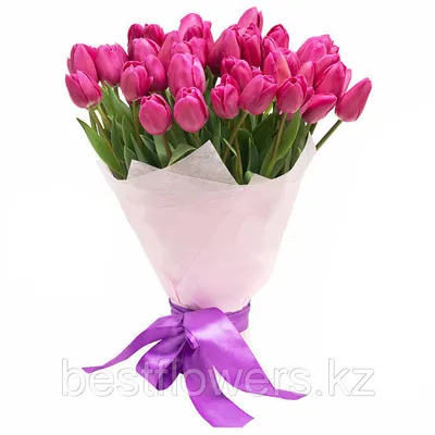 Buy triumph tulip bulbs Tulipa Barcelona: £6.99 Delivery by Crocus