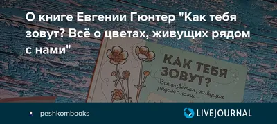 Атака века\": мифы и факты о подвиге Маринеско