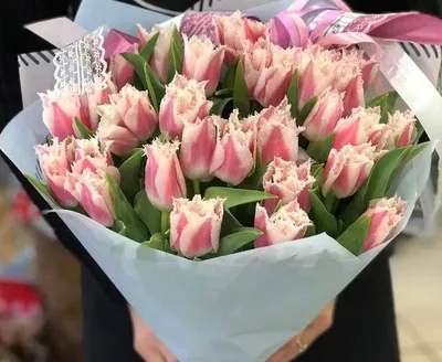 Тюльпан бахромчатый Канаста 3 шт купить недорого в интернет-магазине  товаров для сада Бауцентр