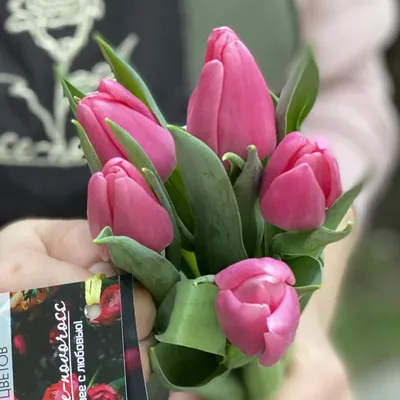 Букет из 15 тюльпанов Цветочный Ряд, Милк Шейк, под ленту - купить в ИП  Эльжуркаева Элина Мехдиновна, цена на Мегамаркет