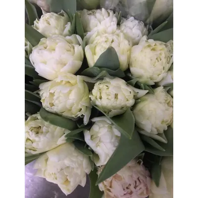Купить Монобукет из тюльпанов \"Пломбир\" в Томске - доставка цветов МАКИ