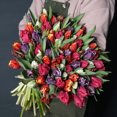 101 Тюльпан \"Попугай\" (Микс) и скидки в интернет магазине цветов Роз  Новоросс