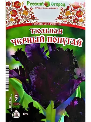 51 Тюльпан \"Попугай\" (Микс) и скидки в интернет магазине цветов Роз Новоросс