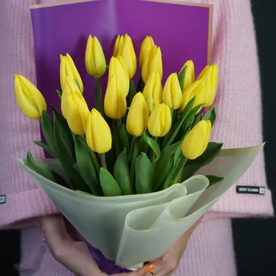 Buy Tulipa Strong Gold | Direct from the Bulbs4you