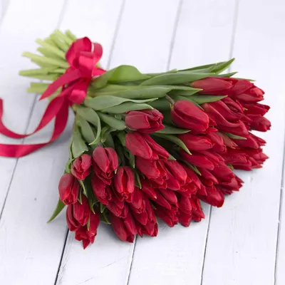 101 Тюльпан \"Стронг Лав\" (Красный Гладкий) и скидки в интернет магазине  цветов Роз Новоросс