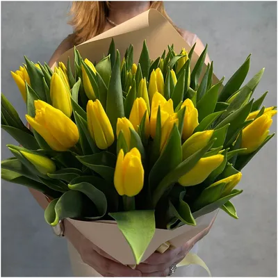 Луковицы Тюльпан Flower house купить по выгодной цене в интернет-магазине  OZON (1134501400)