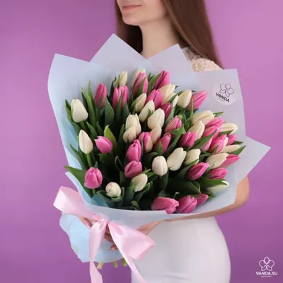 №1 Розово-белые тюльпаны сорта «Супермодель» в Самаре