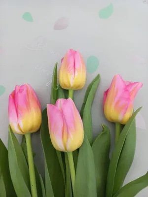 Срезанные цветы ассортимент: Тюльпан Том Пус