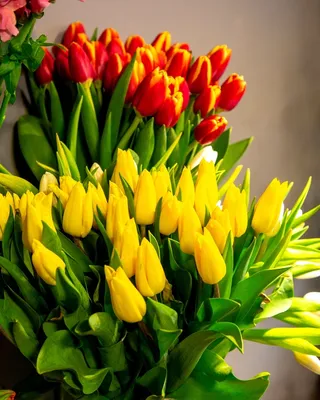 🌷 Тюльпаны оптом от поставщика в Москве в «7ЦВЕТОВ» | Страница 3🌺