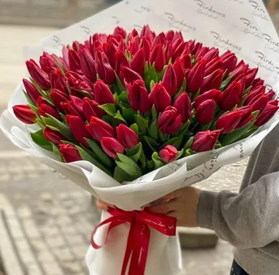 Тюльпаны - символ весны и обновления