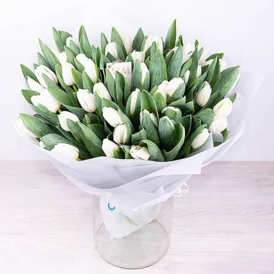 Тюльпаны: изысканные цветы на вашем десктопе