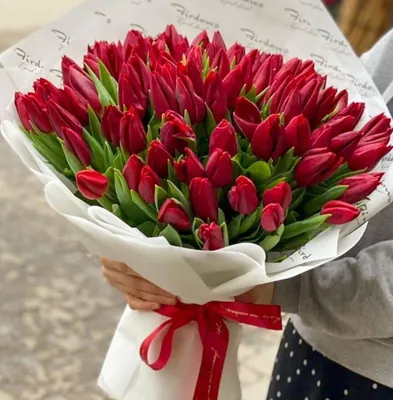 Изумительные тюльпаны для создания романтического настроения