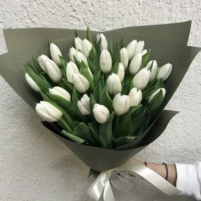 Фон с тюльпанами: создайте яркий и уникальный образ