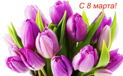 В Гродно начали продавать тюльпаны к 8 марта