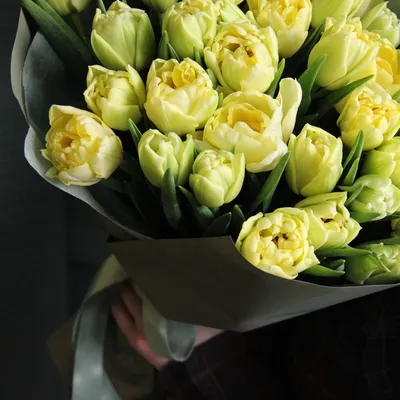 Купить букет тюльпанов в Ростове-на-Дону. | Фиолетовые тюльпаны, Тюльпаны,  Засушенные цветы