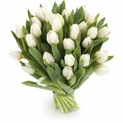 Букет из тюльпанов в упаковке - Доставкой цветов в Москве! 9925 товаров!  Цены от 487 руб. Цветы Тут