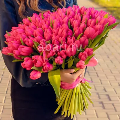 Букет 25 розовых тюльпанов Трезор | доставка по Москве и области