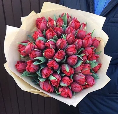 Букет из 25 белых тюльпанов купить в Твери по цене 3000 рублей | Камелия