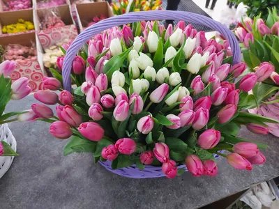 Купить тюльпаны в Нижнем Новгороде | Доставка 0 руб.