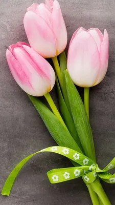 Wallpaper iPhone | Flower iphone wallpaper, Pretty flowers, Tulips flowers