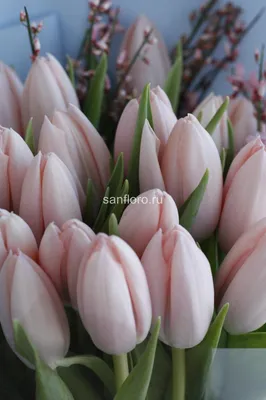 Купить Букет персиковых тюльпанов Тиз Бутс 🌷 | Цветочная мастерская  Sanfloro