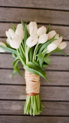 Обои iPhone wallpapers | Tulip bouquet wedding, Tulip wedding, White tulip  bouquet