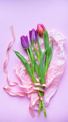 Скачать 800x1420 тюльпаны, цветы, букет, фиолетовый, розовый обои, картинки  iphone se/5s/5c/5 for parallax