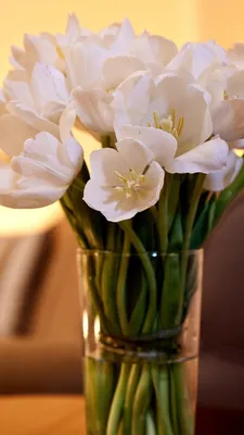 Скачать 938x1668 тюльпаны, цветы, букет, ваза, свечи, романтика обои,  картинки iphone 8/7/6s/6 for parallax